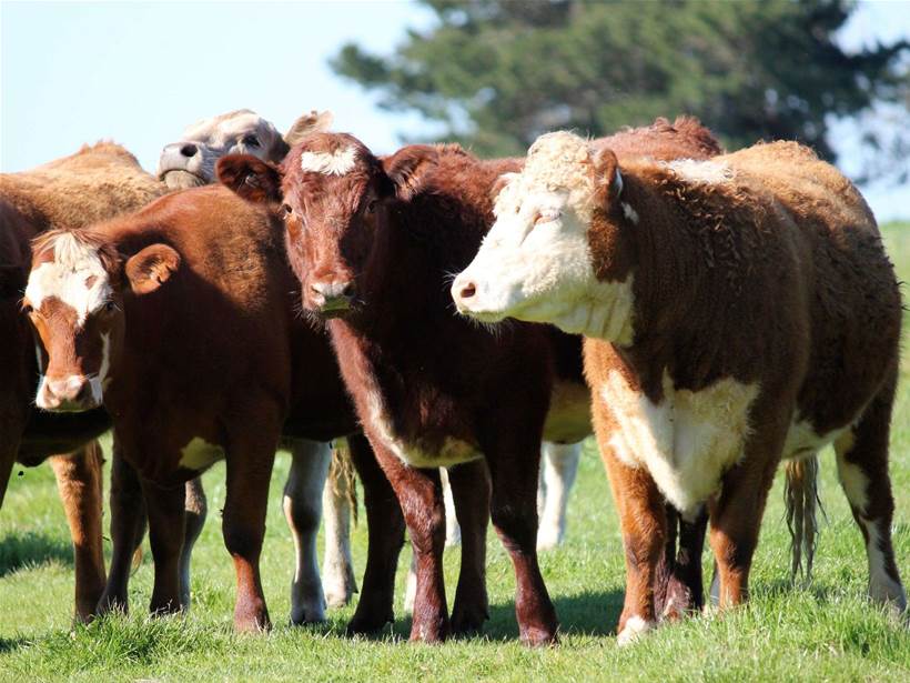 Fenceless farm system receives funding