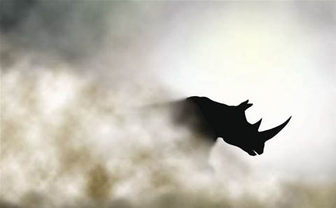 Cisco, DiData use drones to protect endangered species