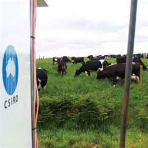CSIRO eyes microwave backhaul market 