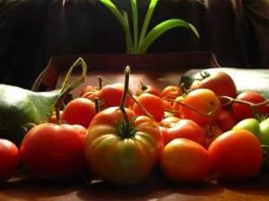 Harris Farm turns on new IT systems