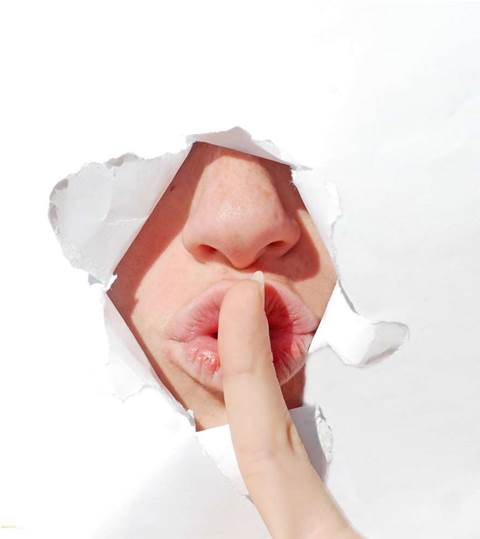 'Gagged' blogger quits Queensland ICT Workgroup