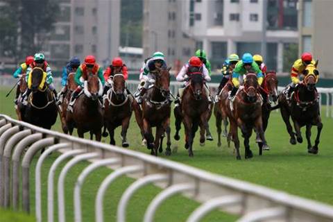 Channel reveals Melbourne Cup picks