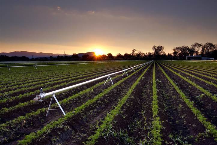 LoRaWAN network for farmers announced