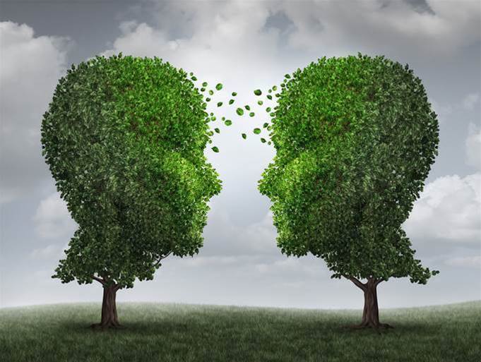 EnviroSuite offloads consulting practice