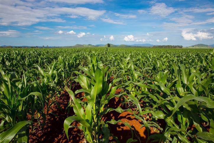 The Yield wins AgFunder innovation award