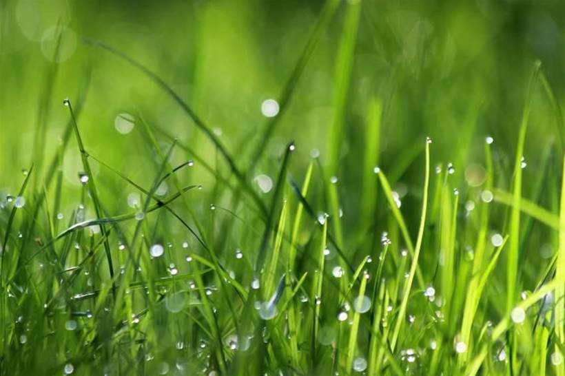 Miracle-Gro takes root in smart gardens