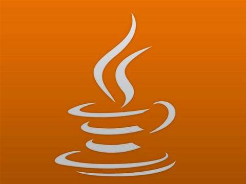 Java exec quits in row over Oracle control