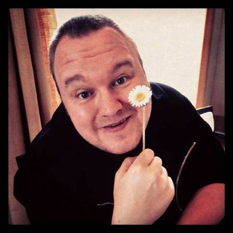 Dotcom denies revenge with new site launch