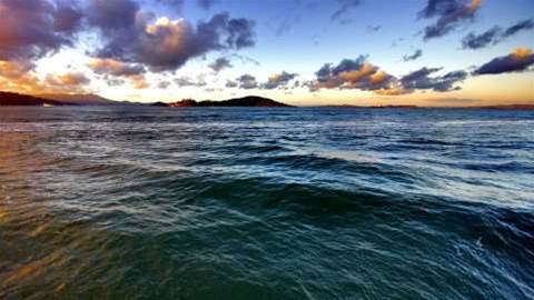 Scientists network the world's oceans