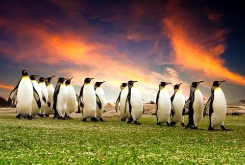 Gnome creator: Linux has "only 10 great desktop apps"