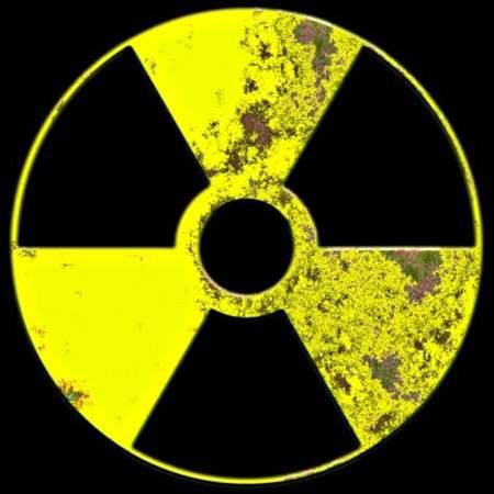 DiData warned NZ govt of security hole