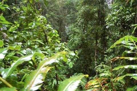 Amazon's EC2, Eucalyptus vulnerability discovered