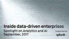 Spotlight on Analytics and AI