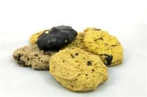Privacy Commissioner examines EU cookie laws