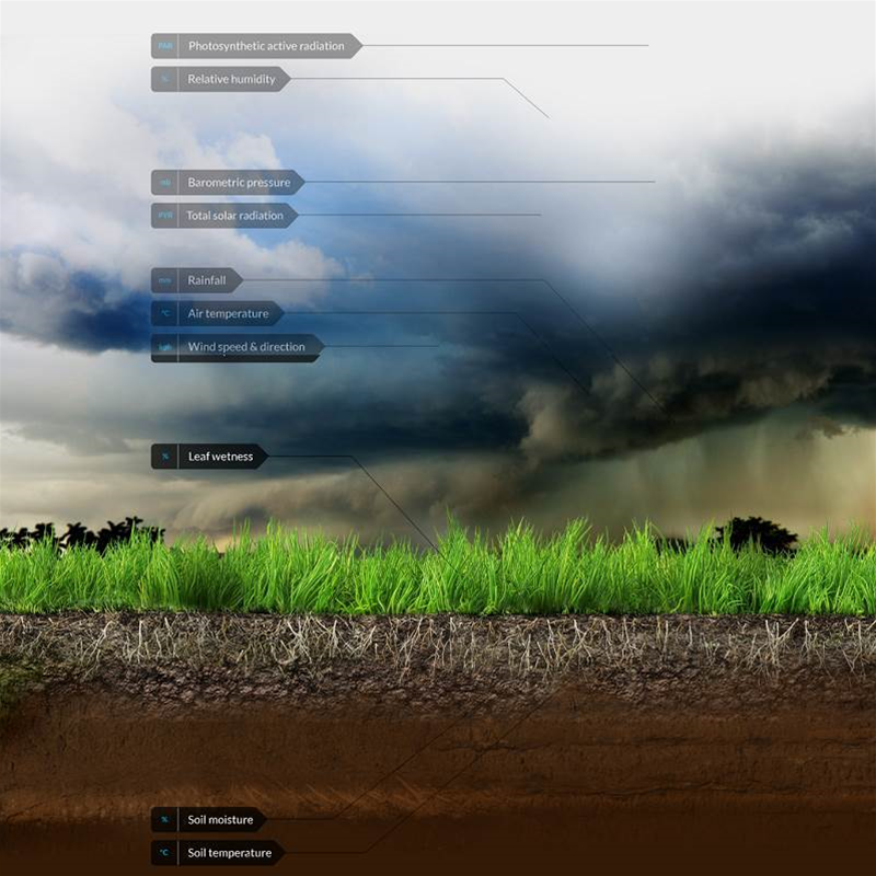 The Yield launches agtech predictions system