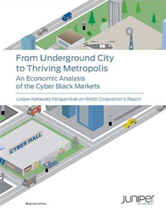 From Underground City to Thriving Metropolis - An Economic Analysis of the Cyber Black Markets