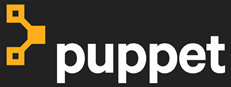 What Every CIO Should Know about DevOps & Container Guides by Puppet