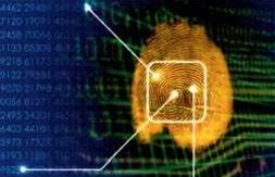 Motorola biometrics crack Miami vice