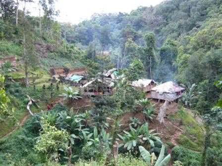 Surviving Kokoda