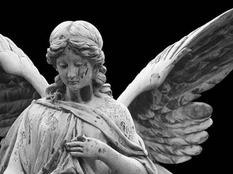 Angels keeping guard over Australian ICT innovation