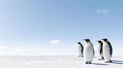 Rabid Reseller: Linux sales are a lot of pain for little gain
