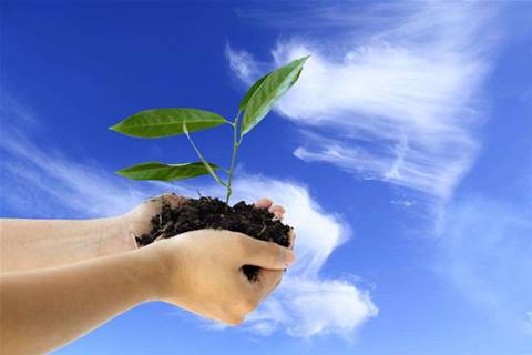 Is Green the new black?