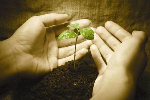 IT industry experiencing a Green change