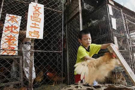 Taiwan tech firms begin bird flu precautions