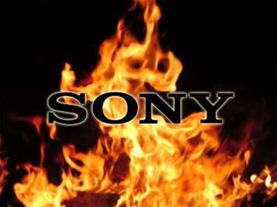 Sony recalls 350,000 digital cameras