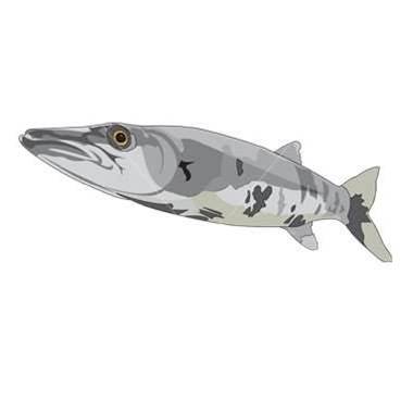 Seagate ships energy-efficient Barracuda drives