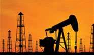 Business leaders 'ignoring' green IT