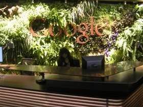 Google opens six-star Sydney ‘Googleplex’