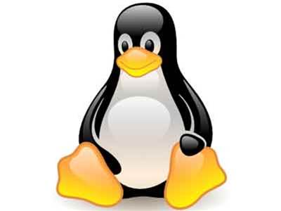A/NZ women in Open Source gain momentum