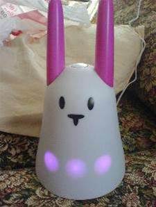  Wireless rabbit creates Internet buzz