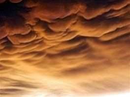Online ads weather economic storms