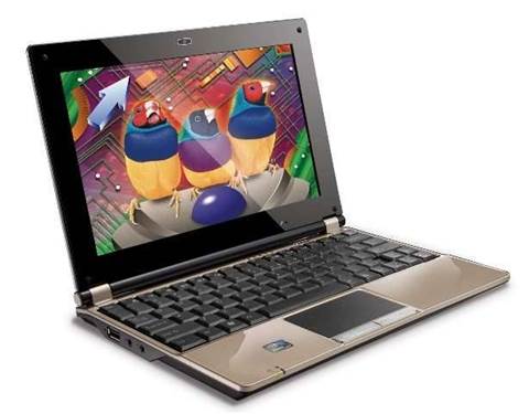 Viewsonic enters the netbook market
