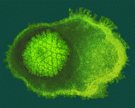Virus Bulletin names top spam blockers