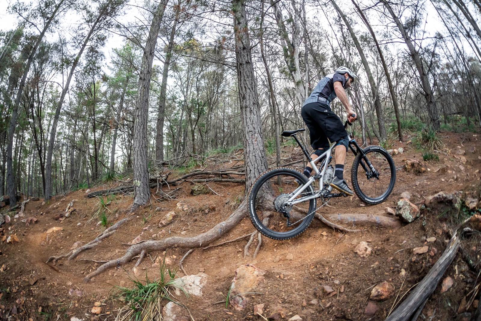 SKILLS Climbing Over Slippery Roots Australian Mountain Bike The