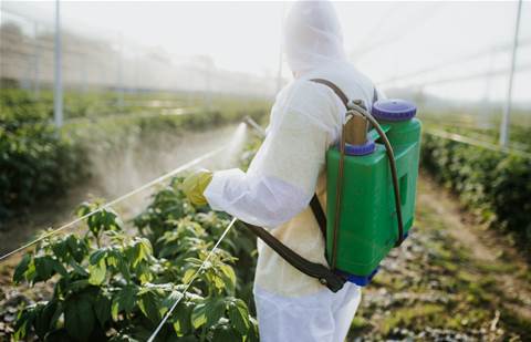 CRN Impact Awards: Nexon Asia Pacific takes pest control firm Flick Anticimex to the cloud