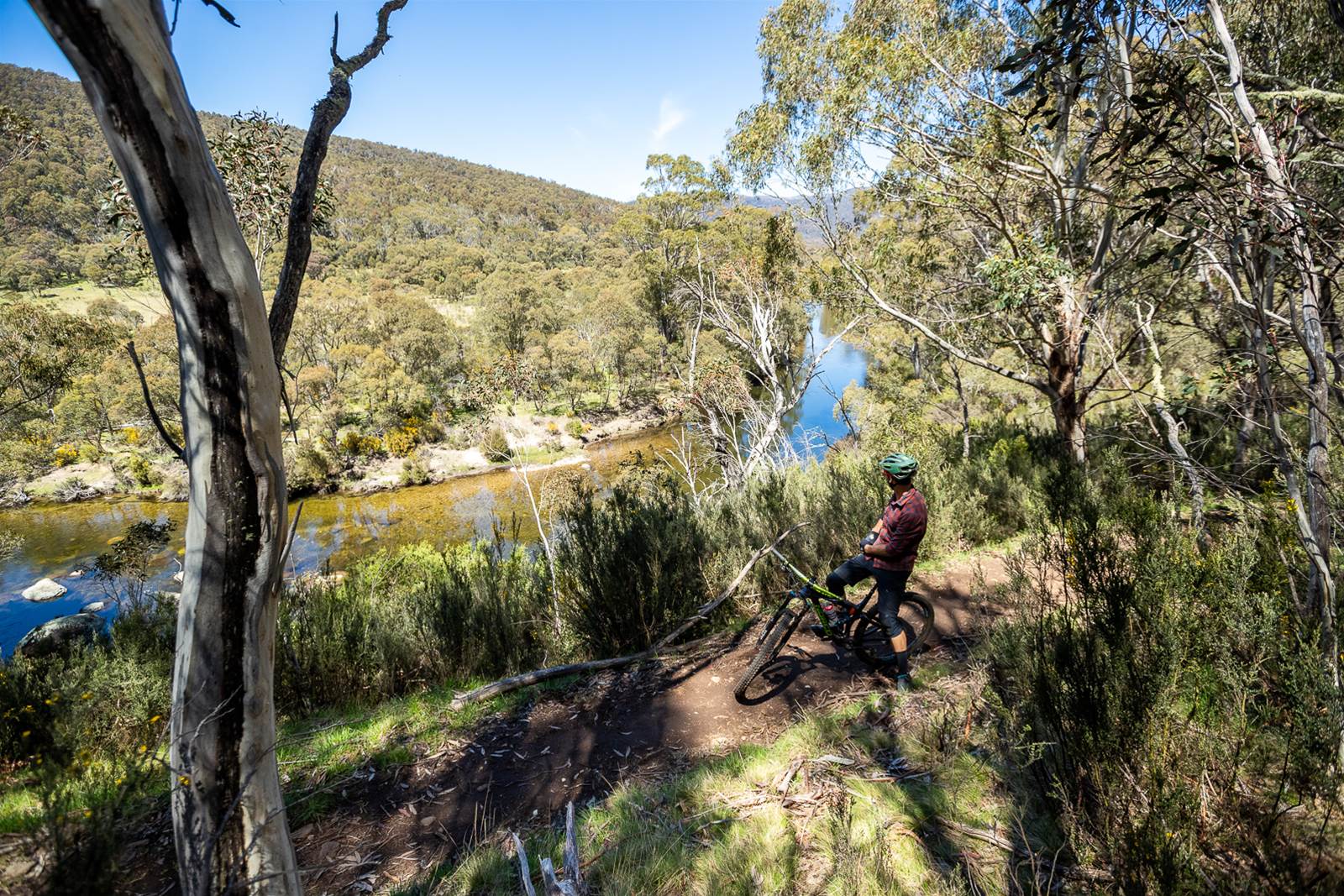 green mountain bike trail