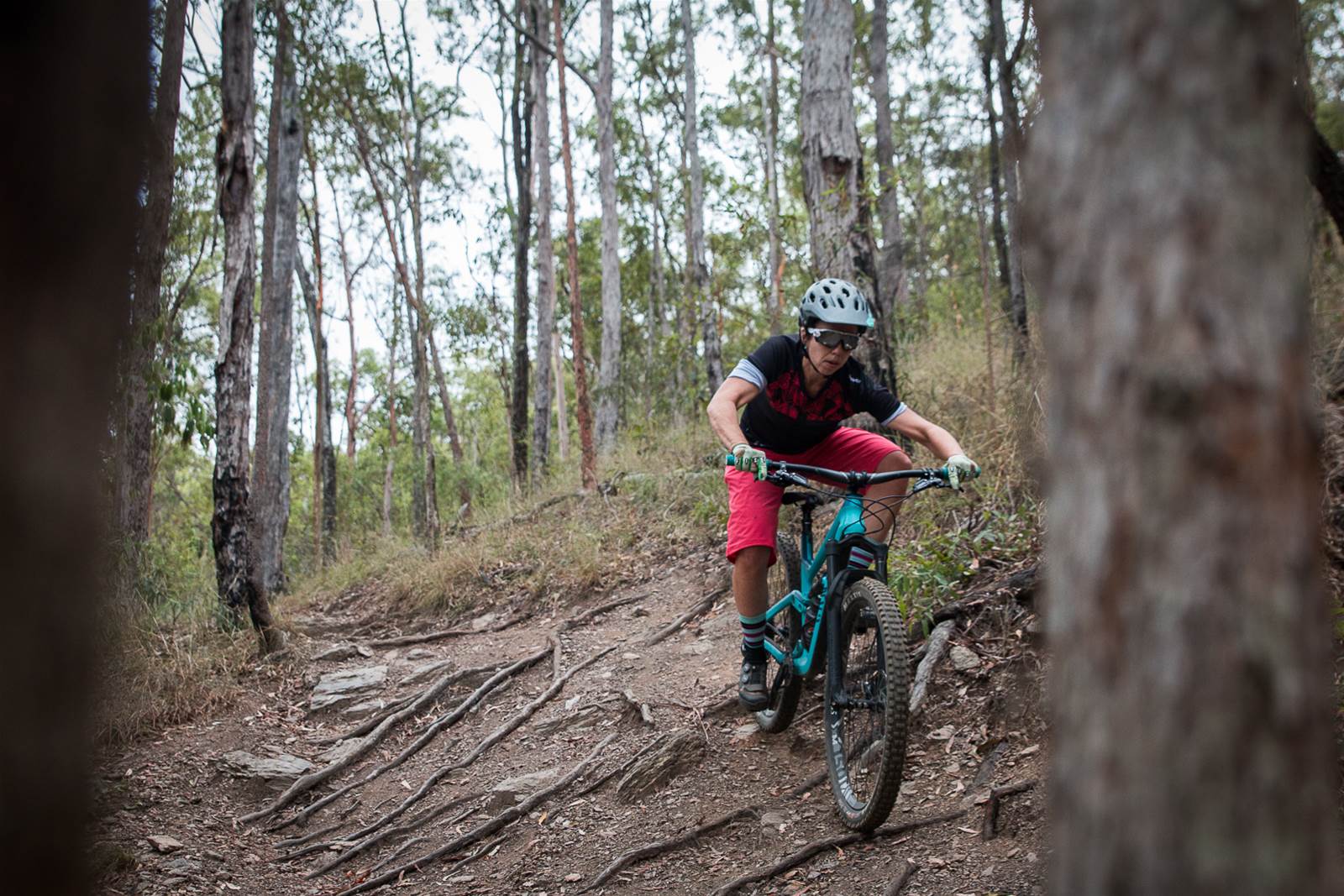 TESTED: Canyon Spectral Women CF 8.0 - Australian Mountain Bike | The ...