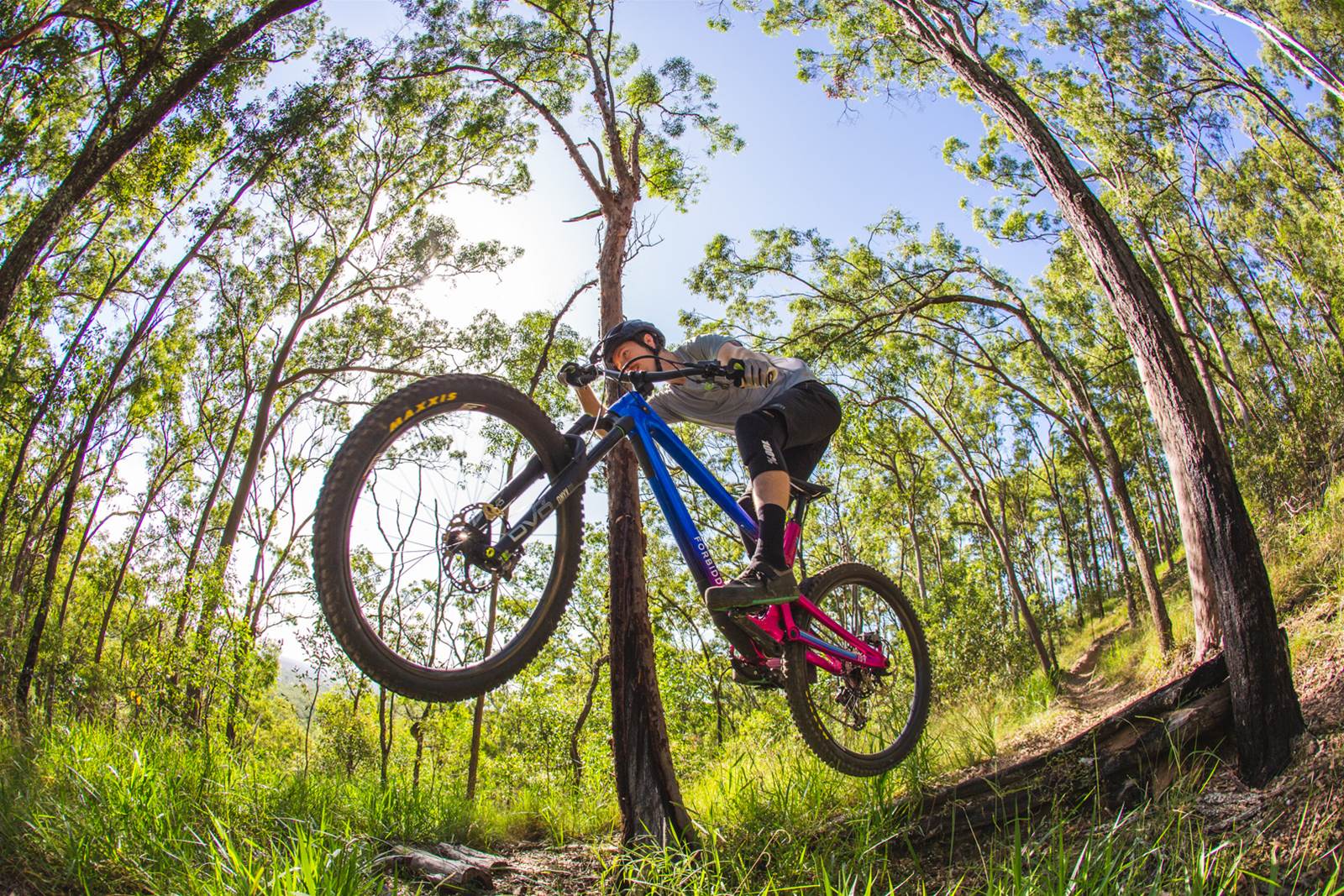 TESTED: Forbidden Dreadnought - Australian Mountain Bike