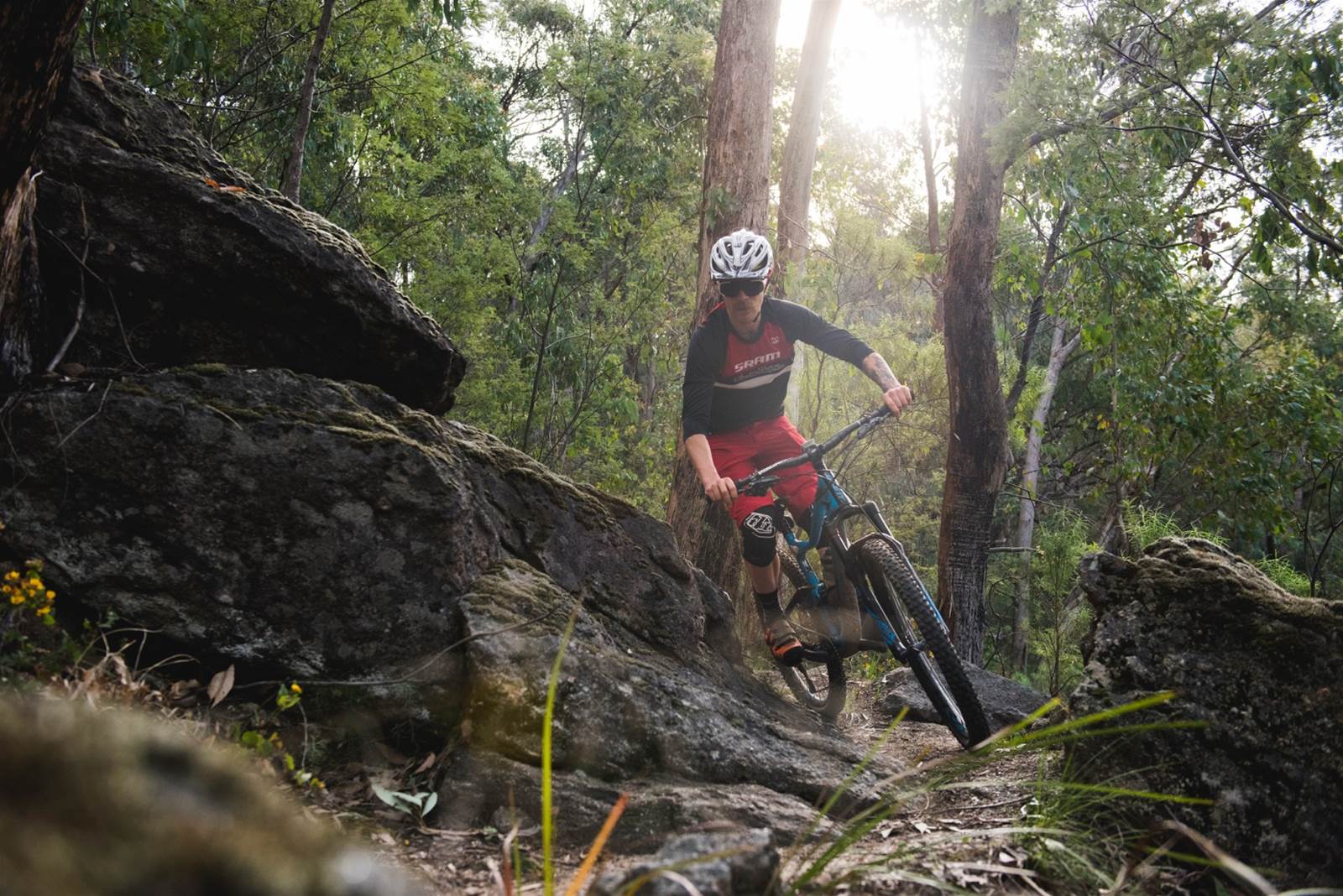 Alpine Foothills: Mt Beauty - Australian Mountain Bike | The home for ...