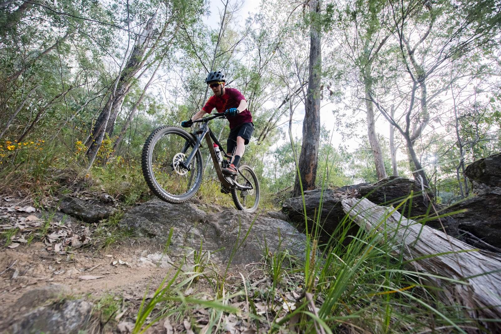 Alpine Foothills: Mt Beauty - Australian Mountain Bike | The home for ...