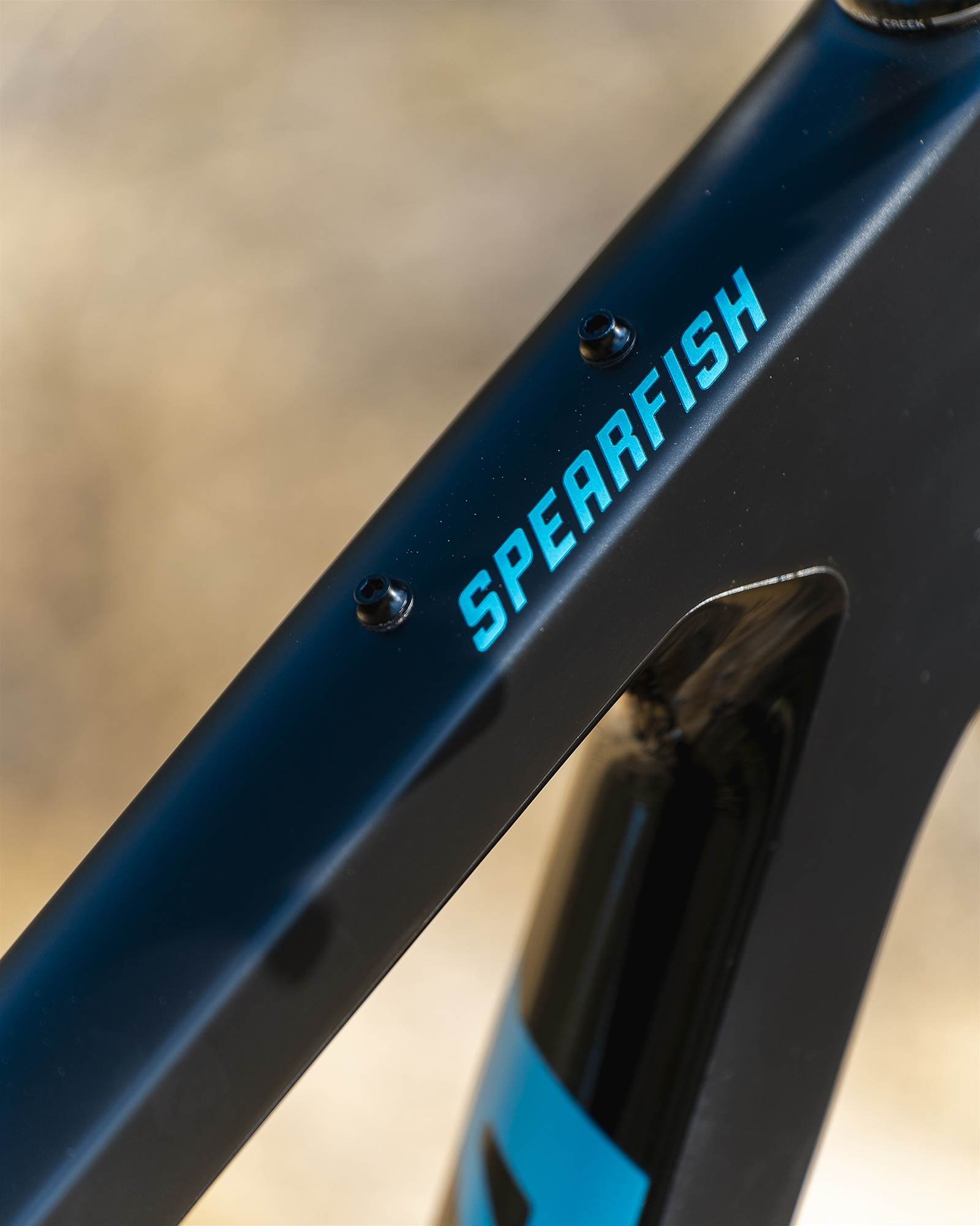 salsa spearfish frame