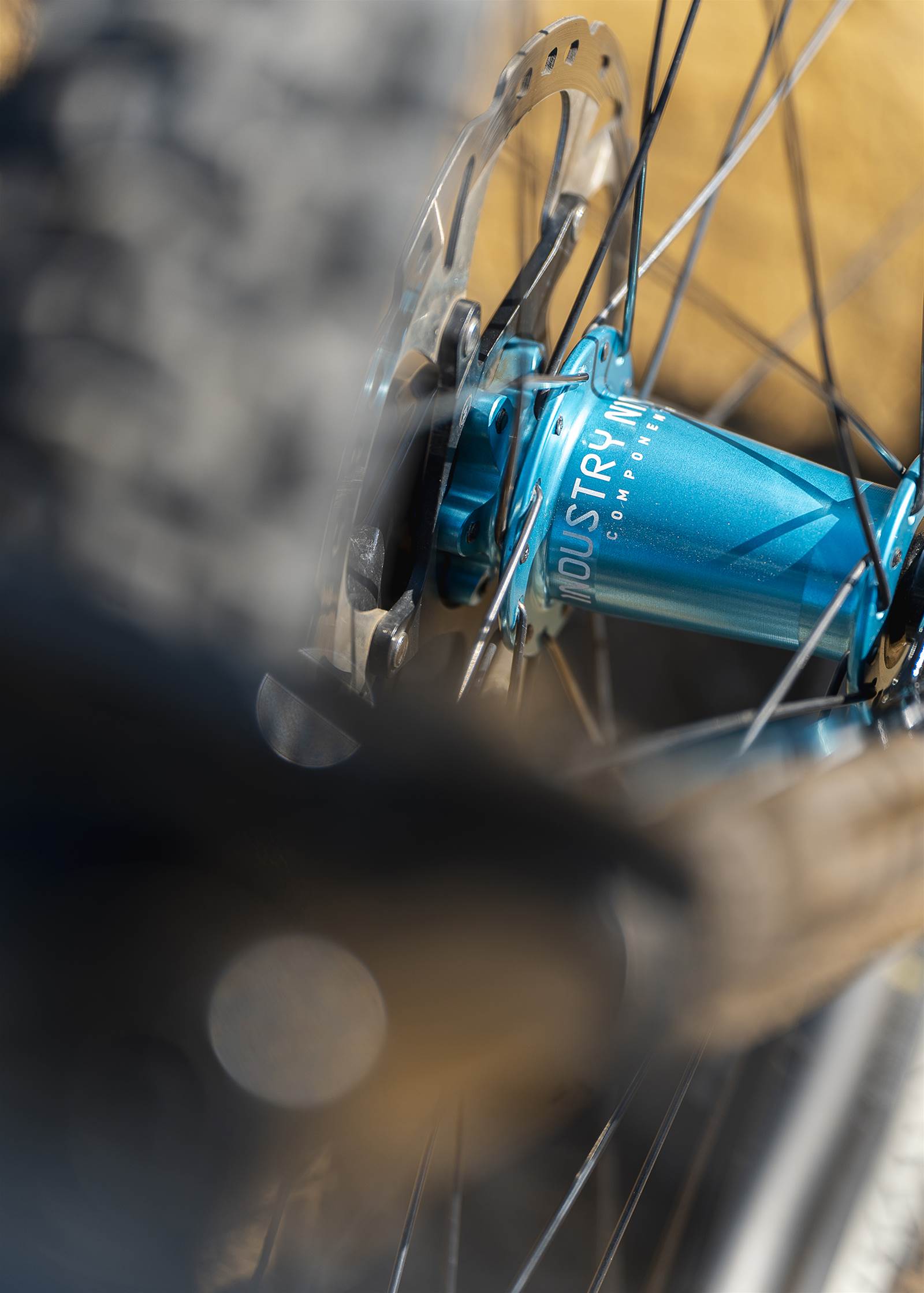 salsa spearfish frame