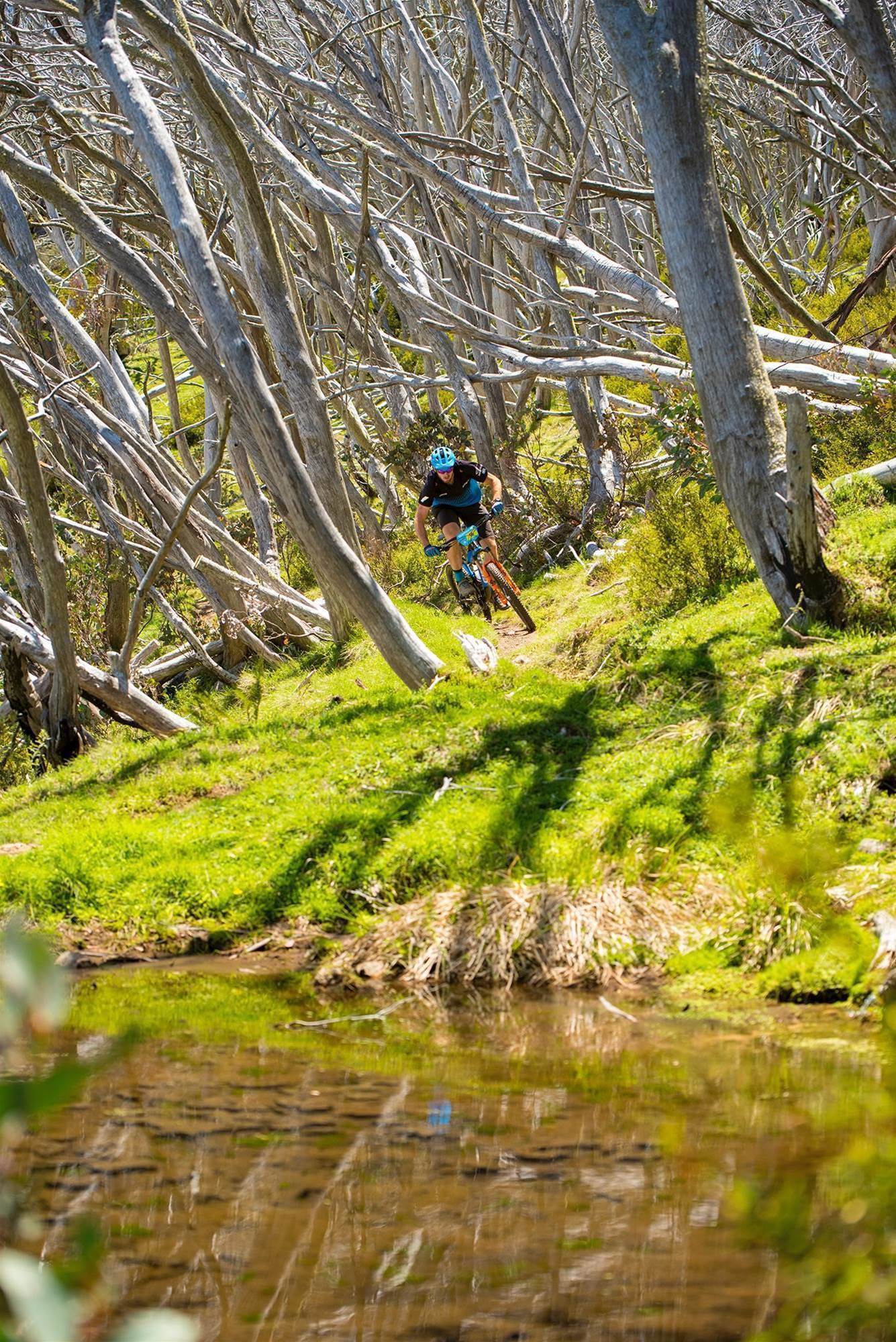 Shimano Enduro Tour Mt Buller Australian Mountain Bike The home