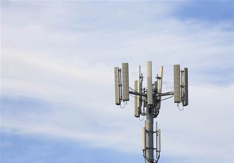 Regional fibre provider Lumea taps Ciena to upgrade network infrastructure
