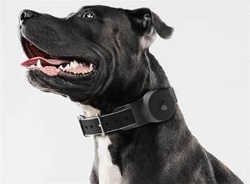 Telstra uses IoT to help customers find valuables