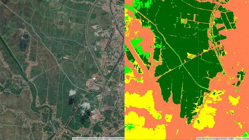 Google Earth, Sydney Uni partner for global food management initiative